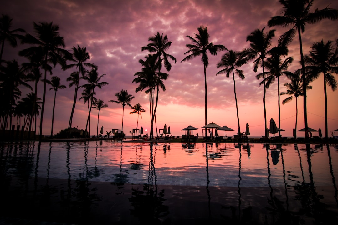 Discovering the Magic of Dreams Cozumel